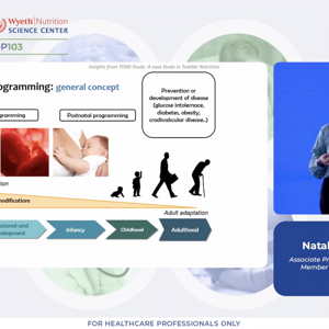 תמונת מרצה בהרצאה שנערכה במסגרת סדנה ה-103
