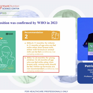 תמונה המציגה מרצה בהרצאה במסגרת הסדנה ה-103 של NNI 