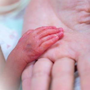 הכנס השישי של האיגודים הניאונטולוגיים