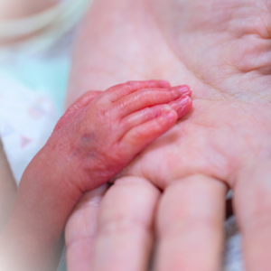 הכנס השישי של האיגודים הניאונטולוגיים