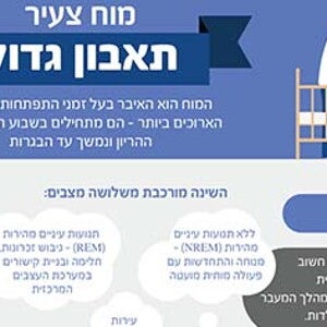 מוח צעיר תאבון גדול